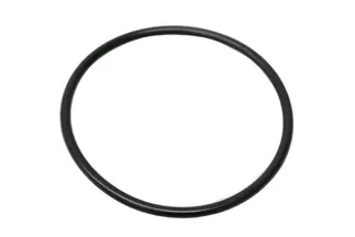 Victor Reinz O-Ring - 11311317732